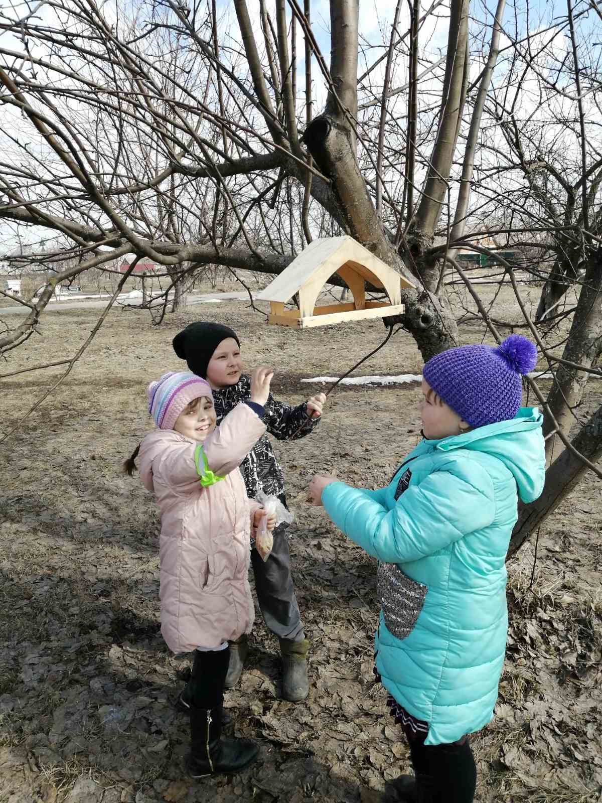 Муниципальная акция по изготовлению птичьих домиков и подкормке птиц.